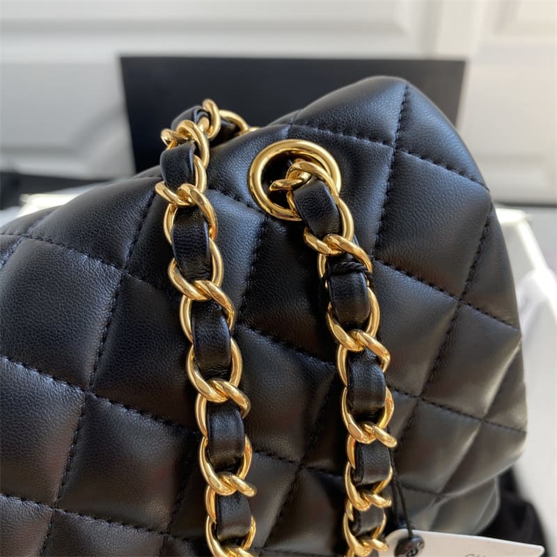 Chanel Lambskin & Gold (6)