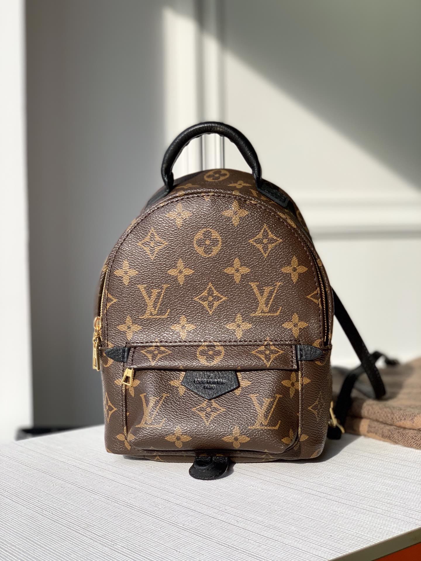 Lv Palm Springs Mini Monogram Bag (1) Lv Palm Springs Mini Monogram Bag (1)