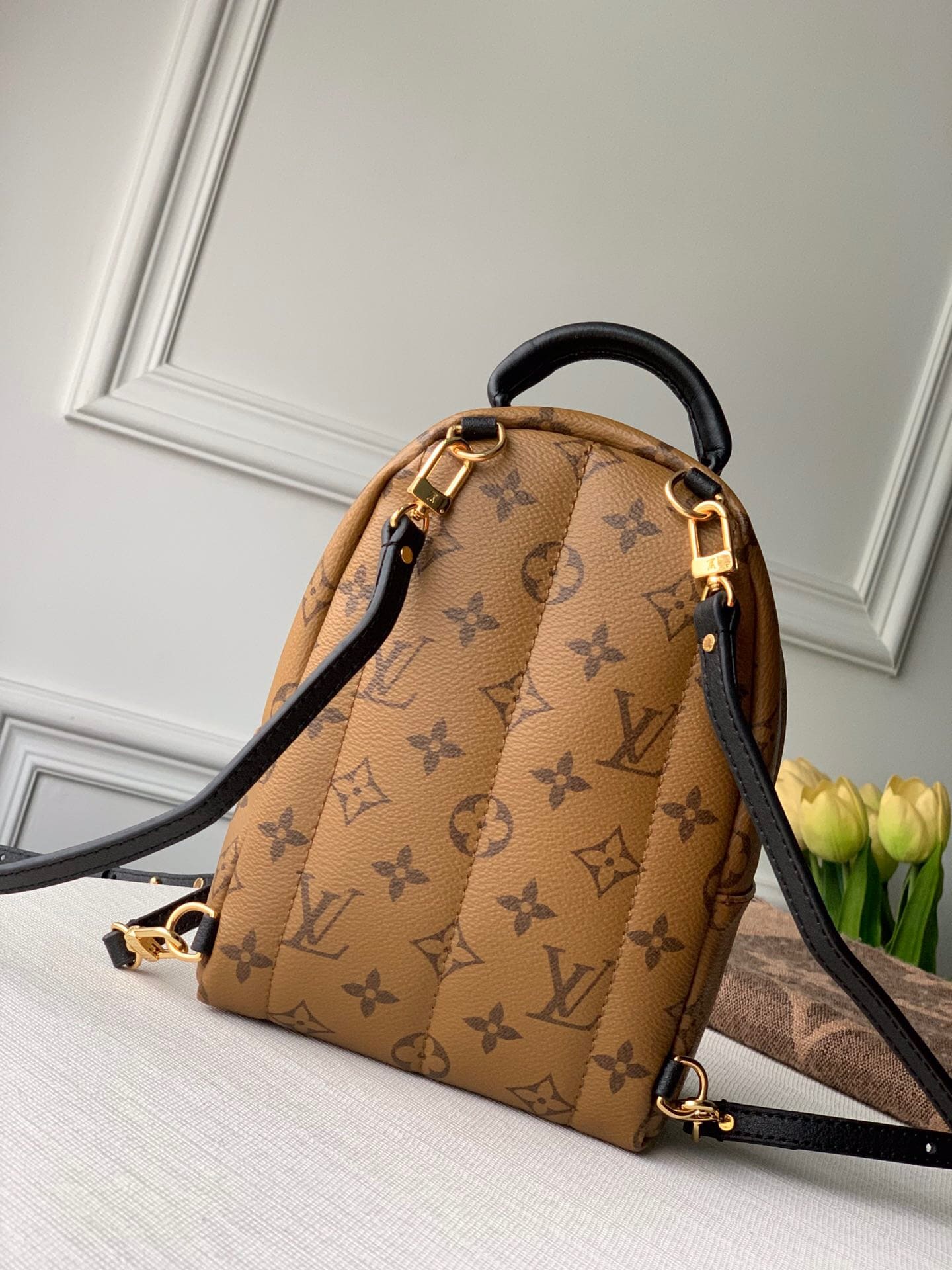 Lv Palm Springs Mini Monogram Bag (10)