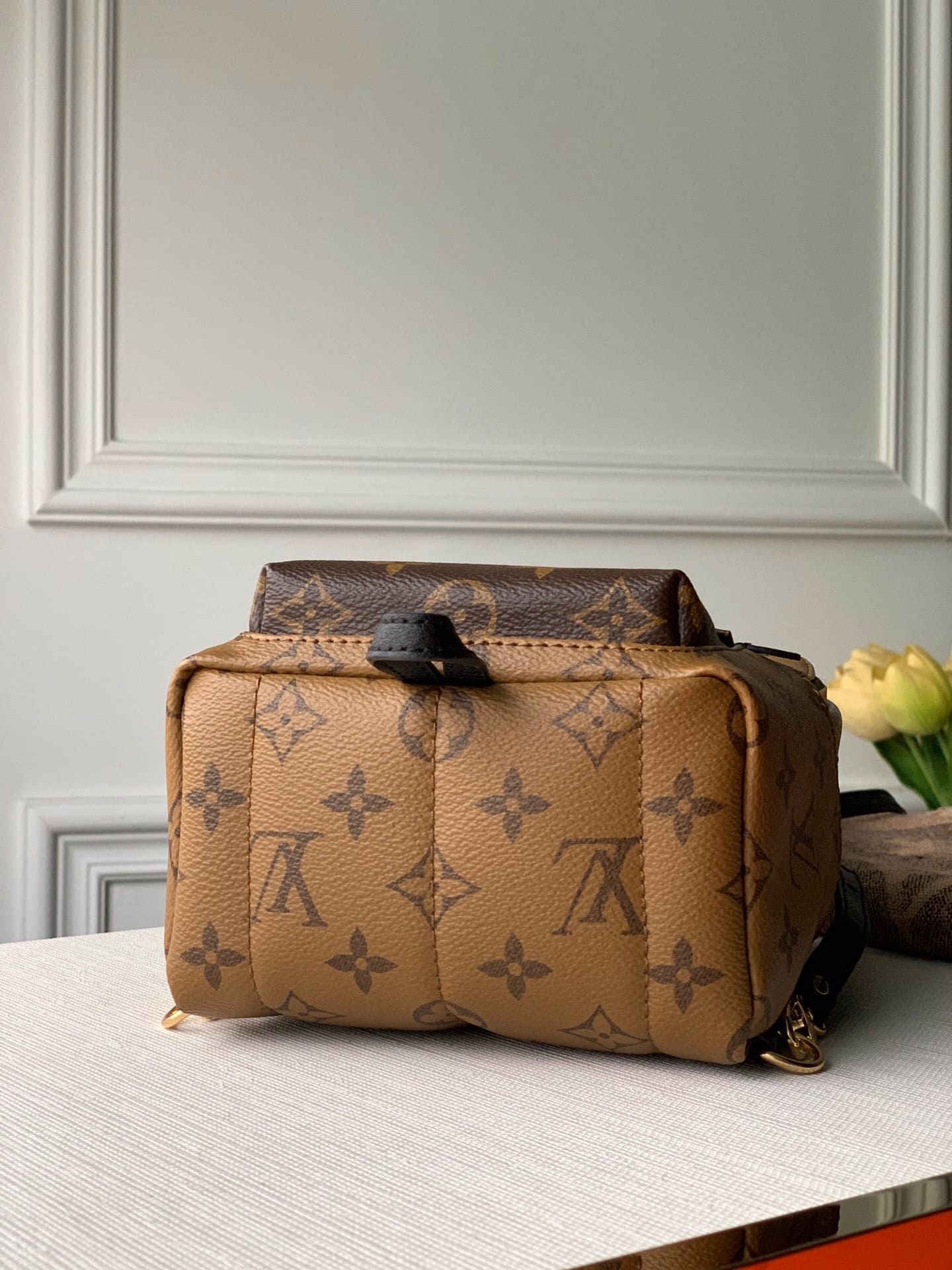 Lv Palm Springs Mini Monogram Bag (11)