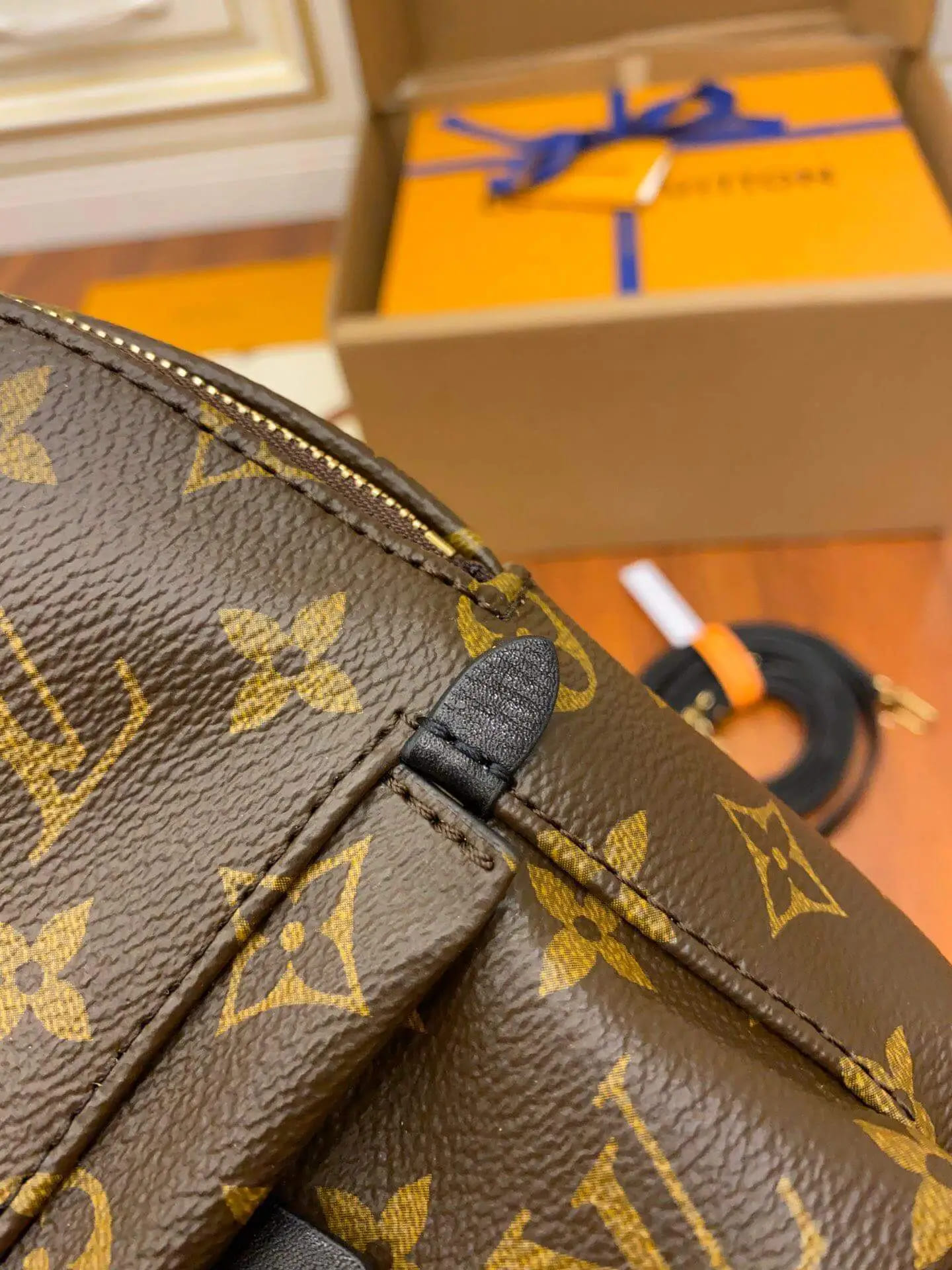 Lv Palm Springs Mini Monogram Bag (3)