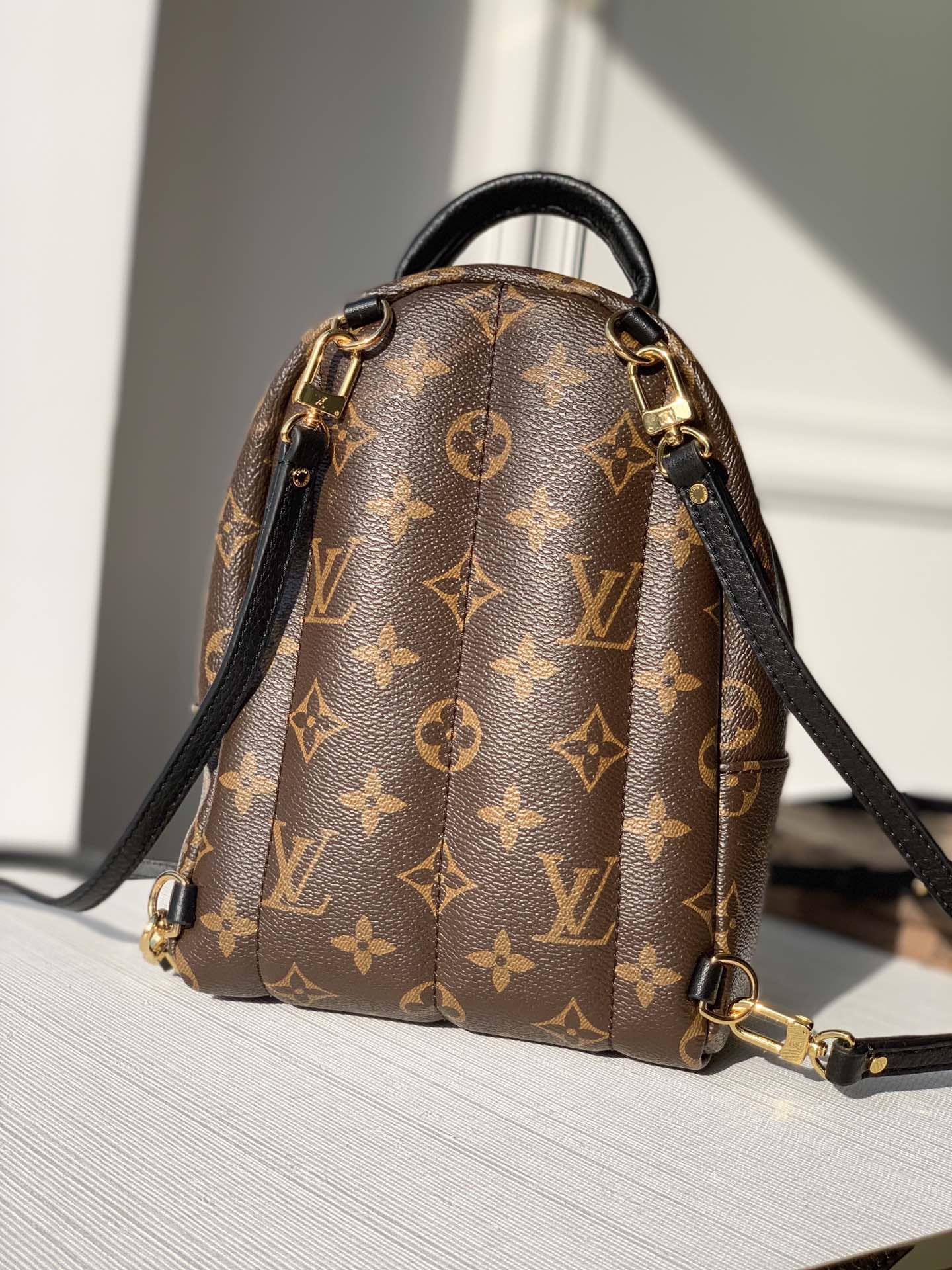 Lv Palm Springs Mini Monogram Bag (4)