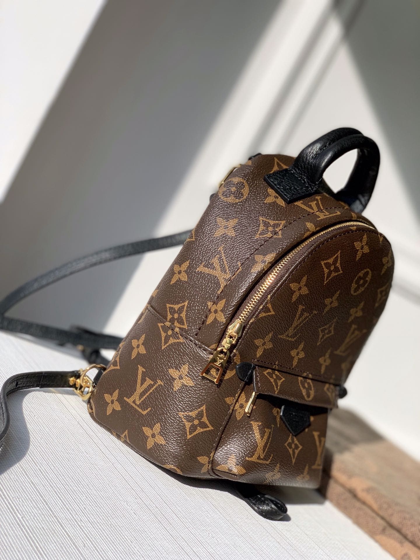 Lv Palm Springs Mini Monogram Bag (5)
