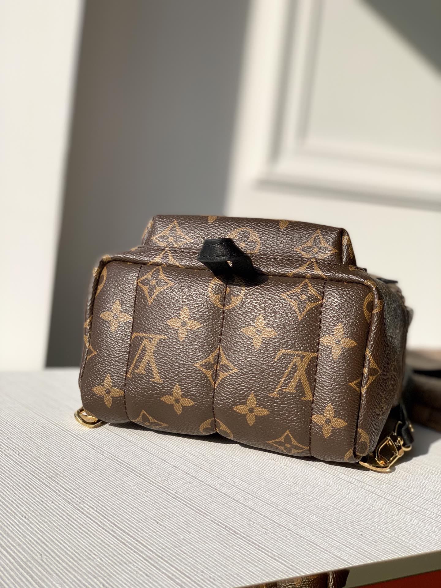 Lv Palm Springs Mini Monogram Bag (6)